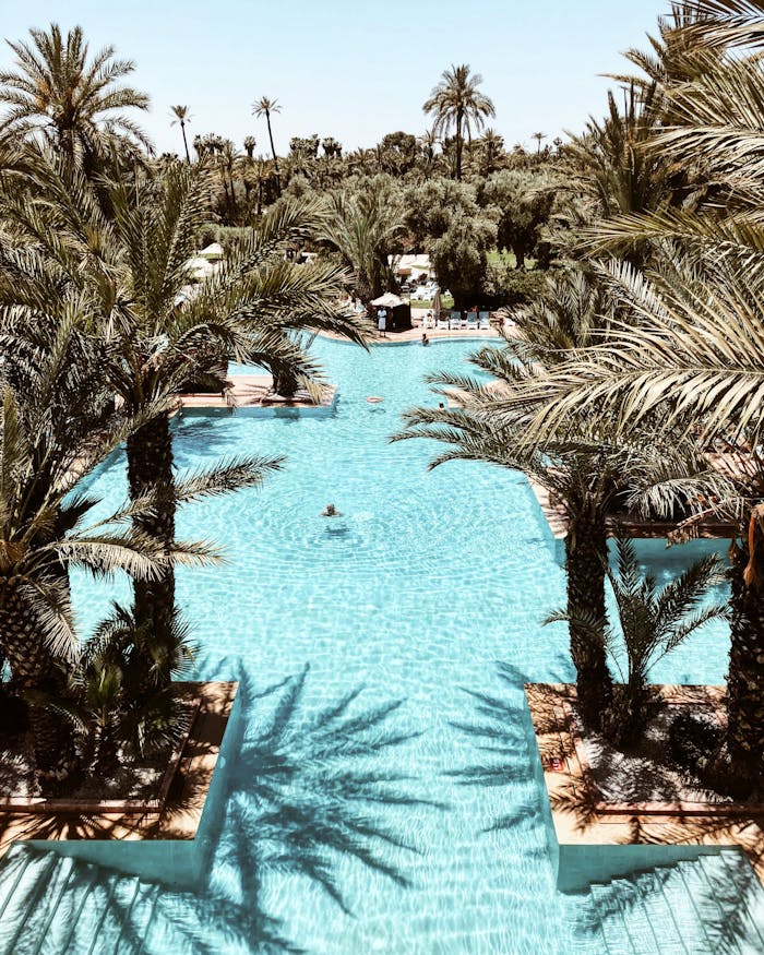 A stunning view of a turquoise pool surrounded by lush palm trees, perfect for a tropical getaway.